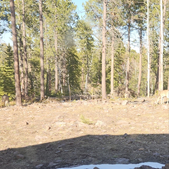 Meet your Posher, Carolyn - Picture 6 of 6